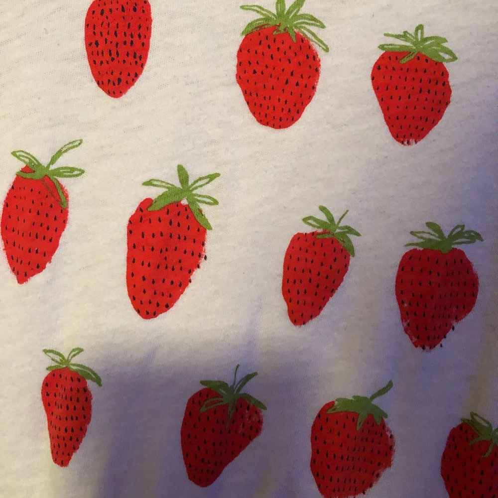 🍓 J. Crew Factory Collector Tee 🍓
